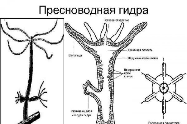 Kraken market зеркала