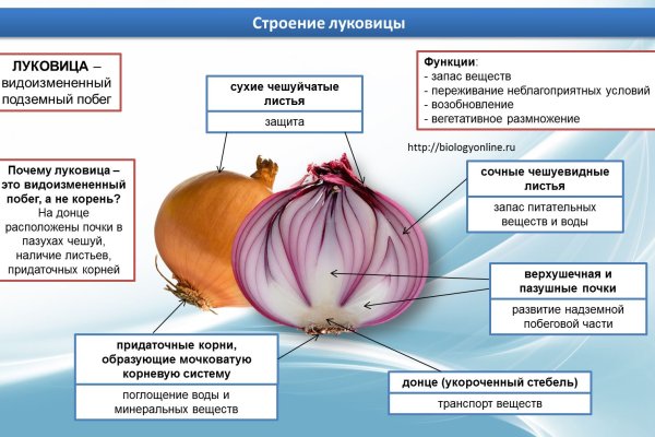 Как зайти в кракен